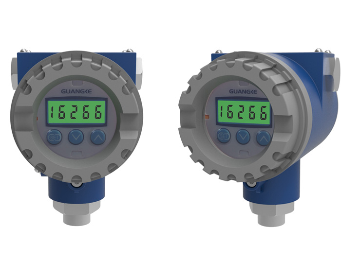 GKYWG-60XI 罐旁顯示儀
